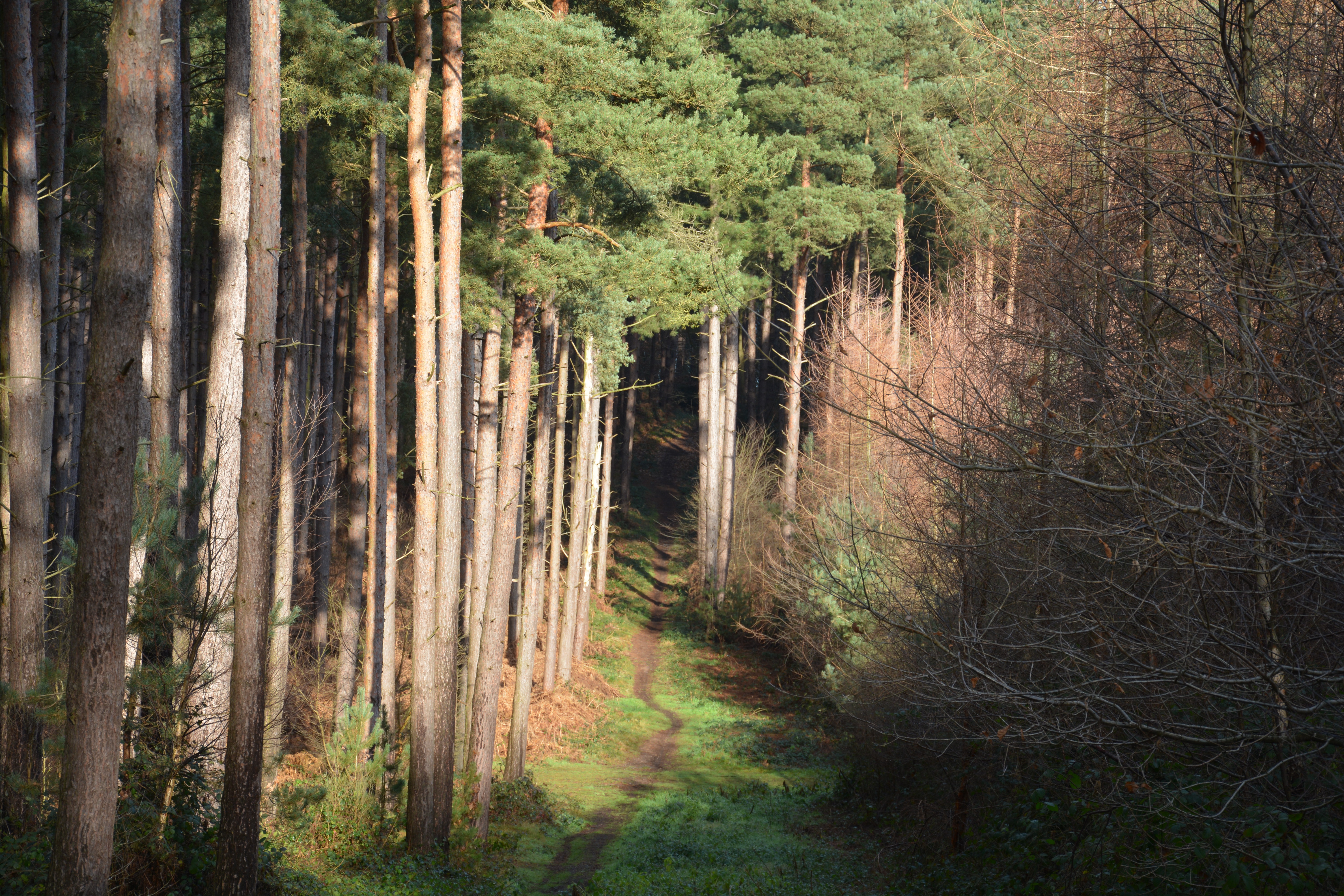 How unclear roles can damage your teams performance (and what you can do about it)