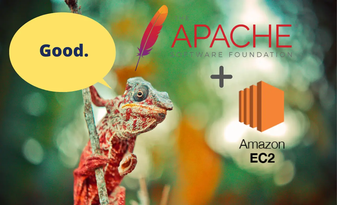 The Simplest Possible EC2 Web Server Setup Using Terraform (On AWS)