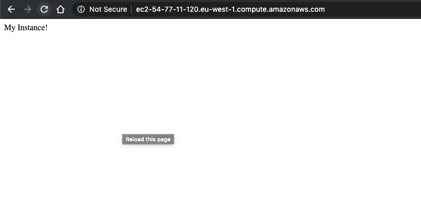 Basic Web Server Output