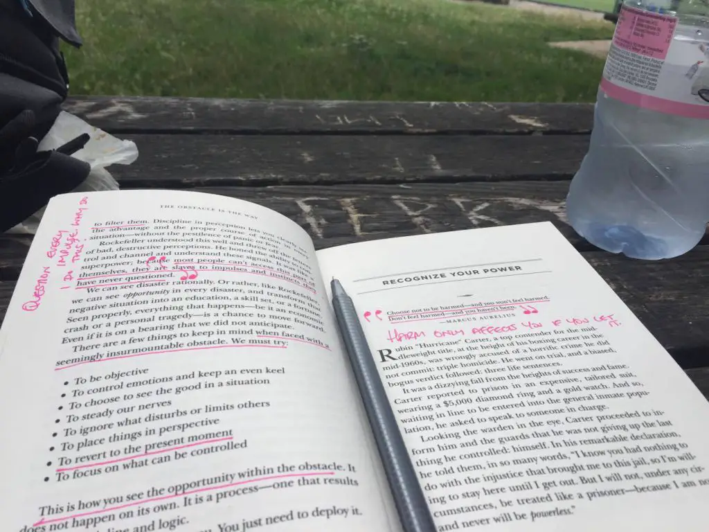 non-fiction book on park bench