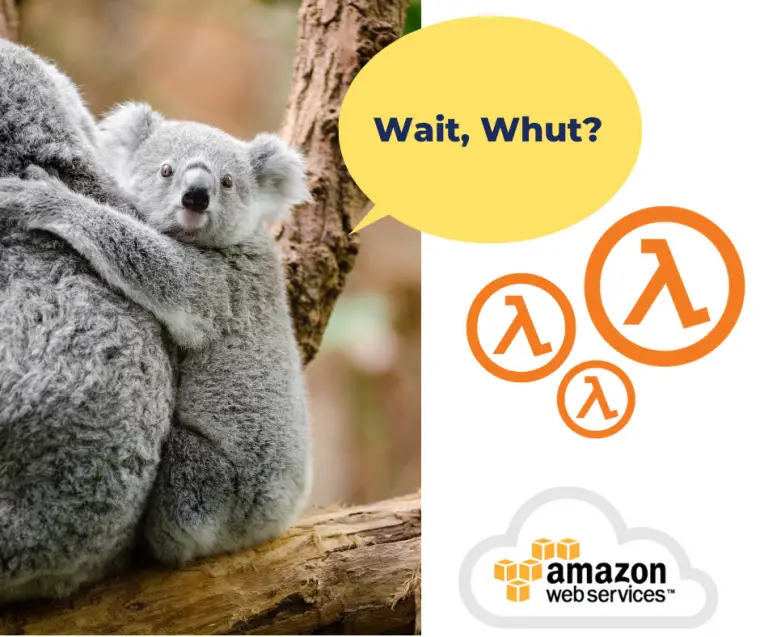 Lambda Koala saying "Wait Whut"