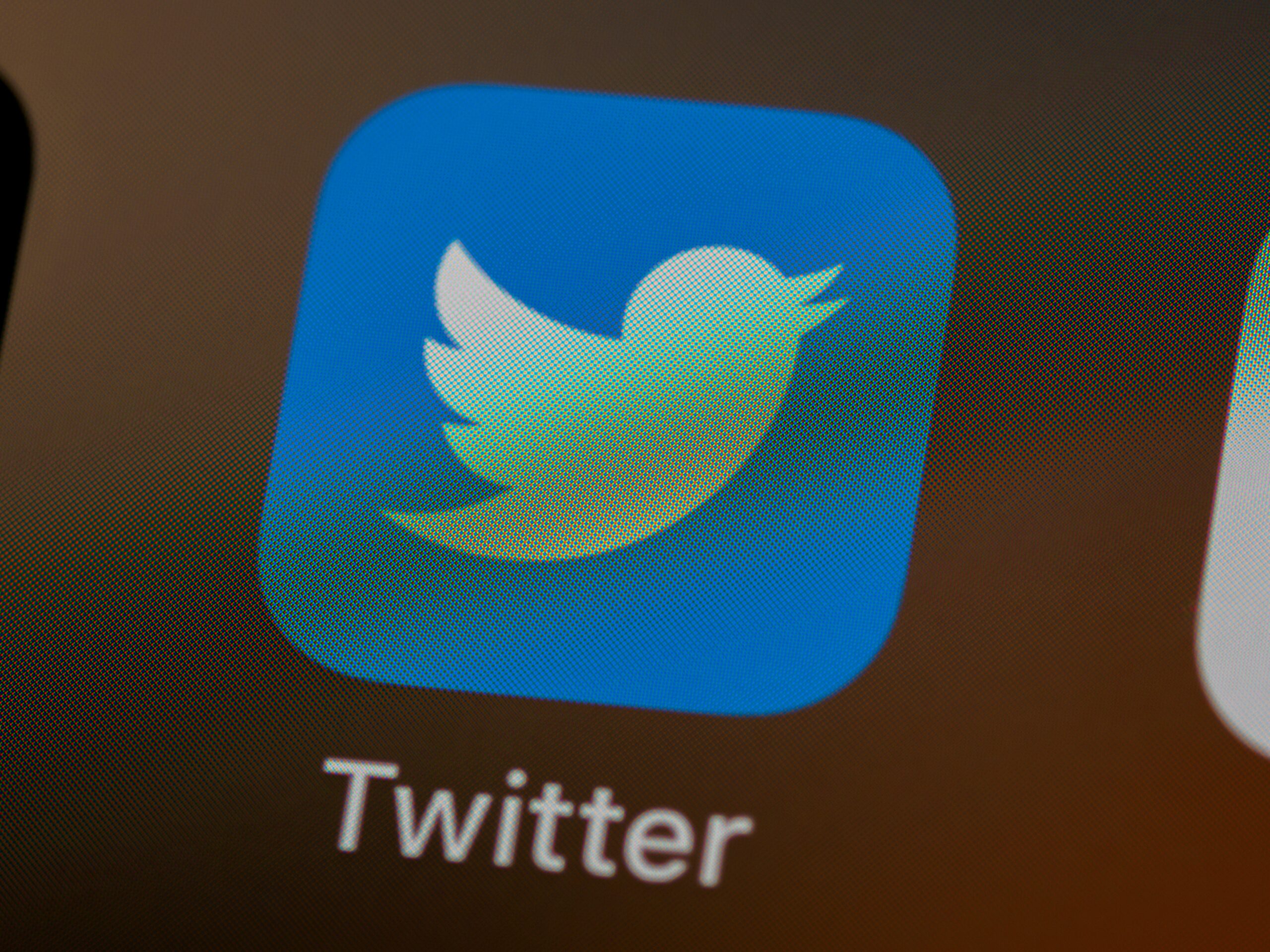 The Twitter Logo